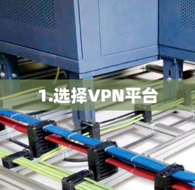 1.选择VPN平台 1.选择VPN平台