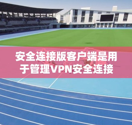 安全连接版客户端是用于管理VPN安全连接的工具，帮助用户设置、监控和管理VPN的安全配置。以下是使用该客户端的详细步骤