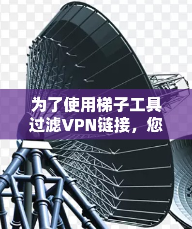 为了使用梯子工具过滤VPN链接，您可以按照以下步骤进行操作